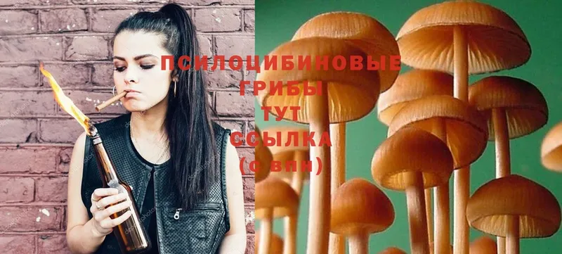 Галлюциногенные грибы Magic Shrooms  мега как войти  Рыбное 